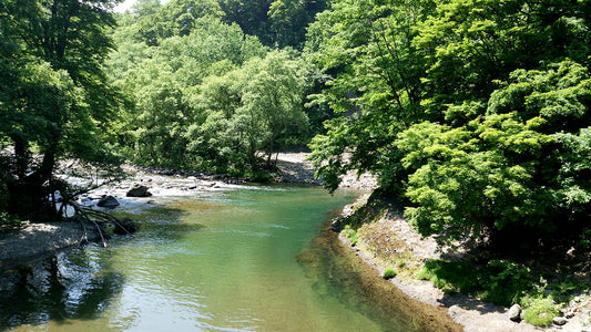 フィールドガイド【青森県/赤石川】