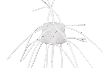 ｻｲｺﾛﾗﾊﾞｰ MAXSALT SR06 ｱﾒﾘｶｼﾛﾋﾄﾘ