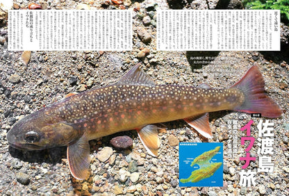 瀬戸際の渓魚たち　辺境と山河と在雷魚を巡る旅