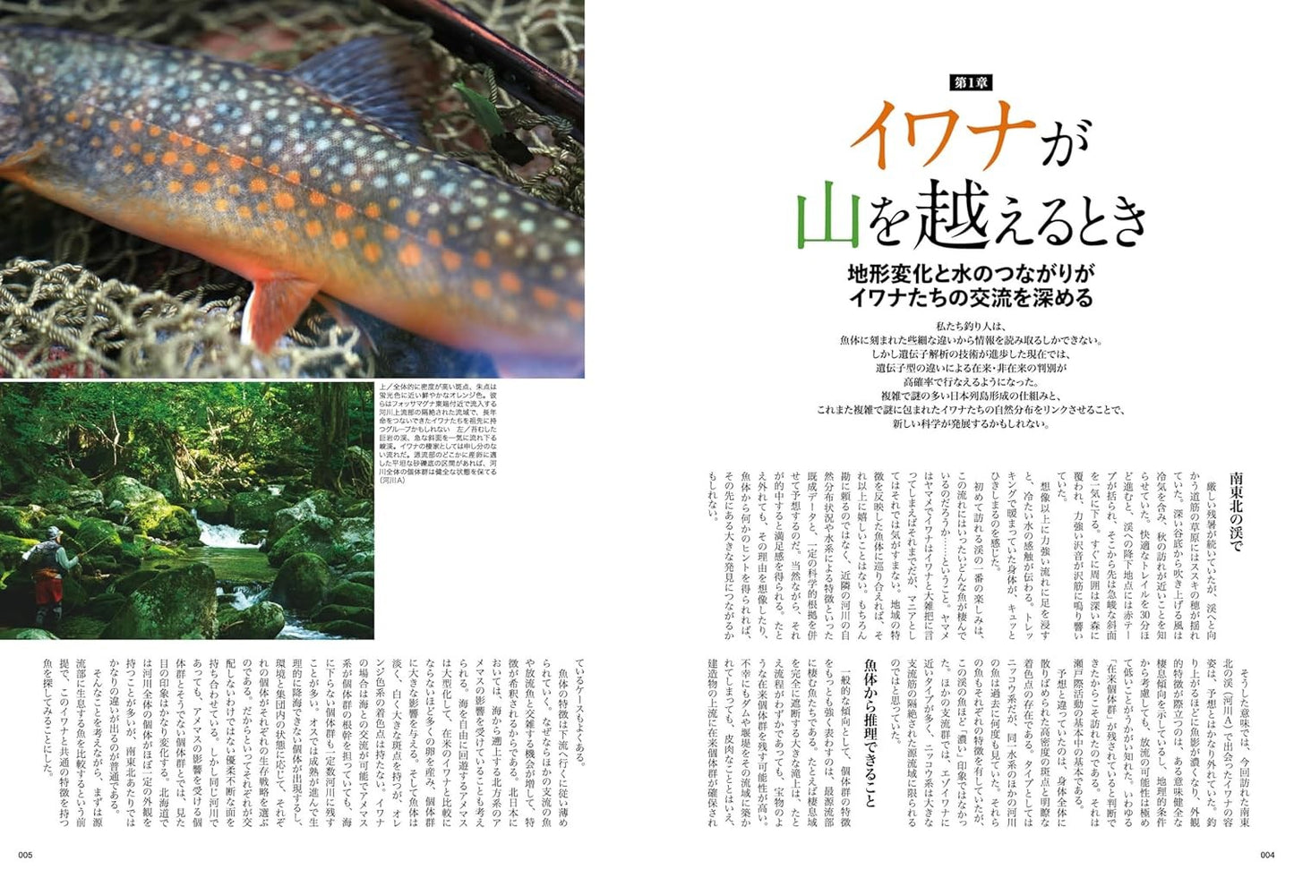 瀬戸際の渓魚たち　辺境と山河と在雷魚を巡る旅