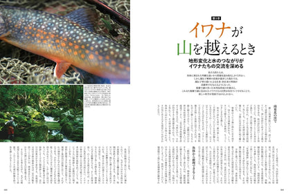 瀬戸際の渓魚たち　辺境と山河と在雷魚を巡る旅